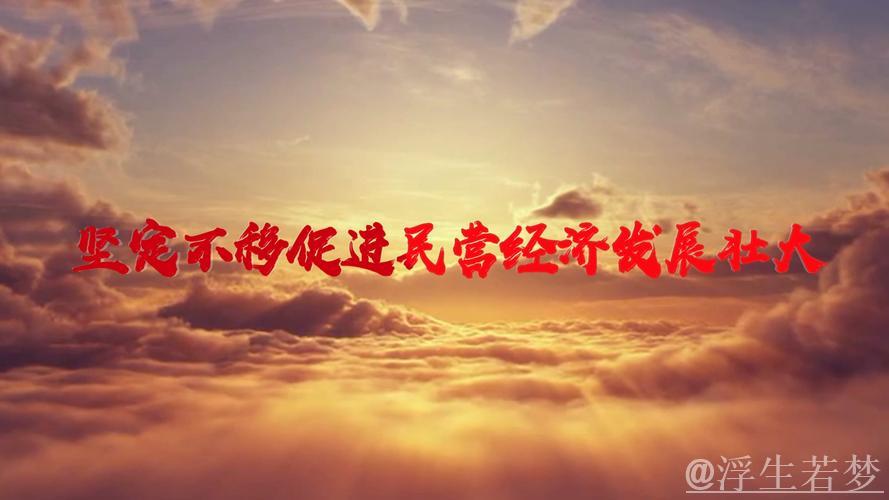 民营经济蓬勃发展,书写高质量发展新篇章 民营经济蓬勃发展,书写高质量发展新篇章